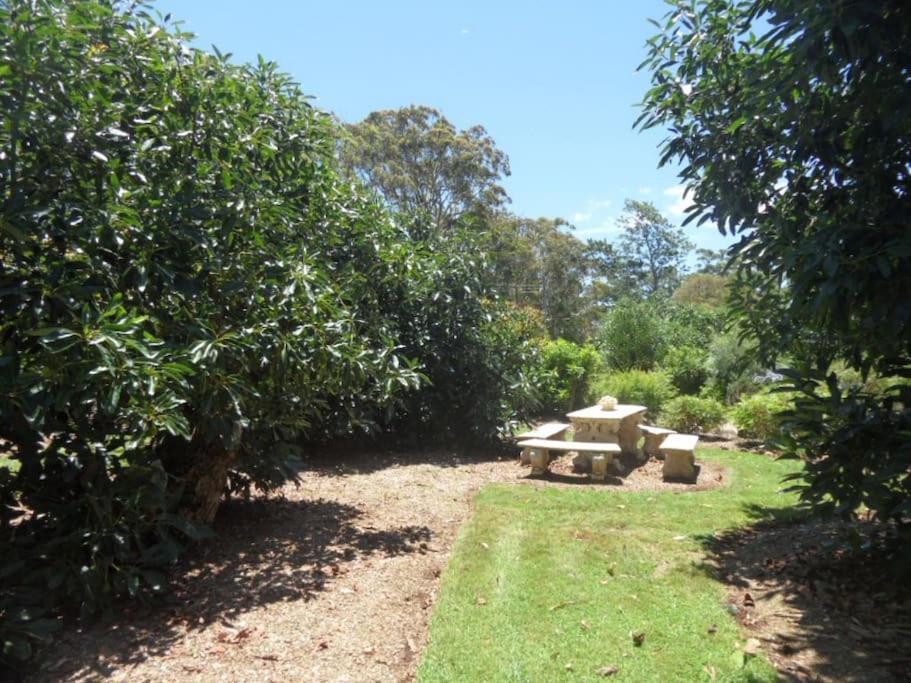 Moonya Avocado Farm Cottage - With Early Check-In Mount Tamborine Bagian luar foto